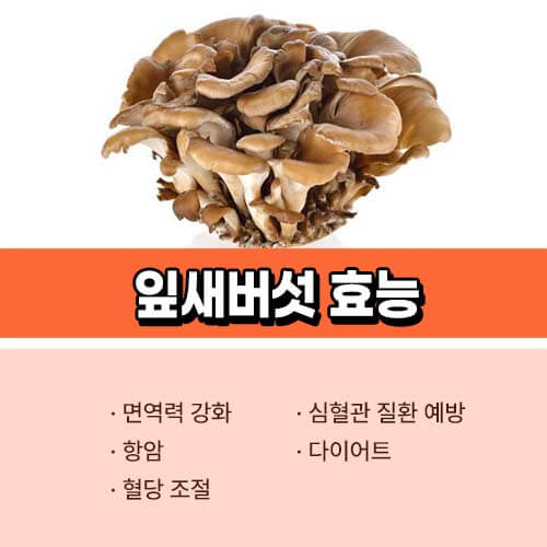 잎새버섯 효능