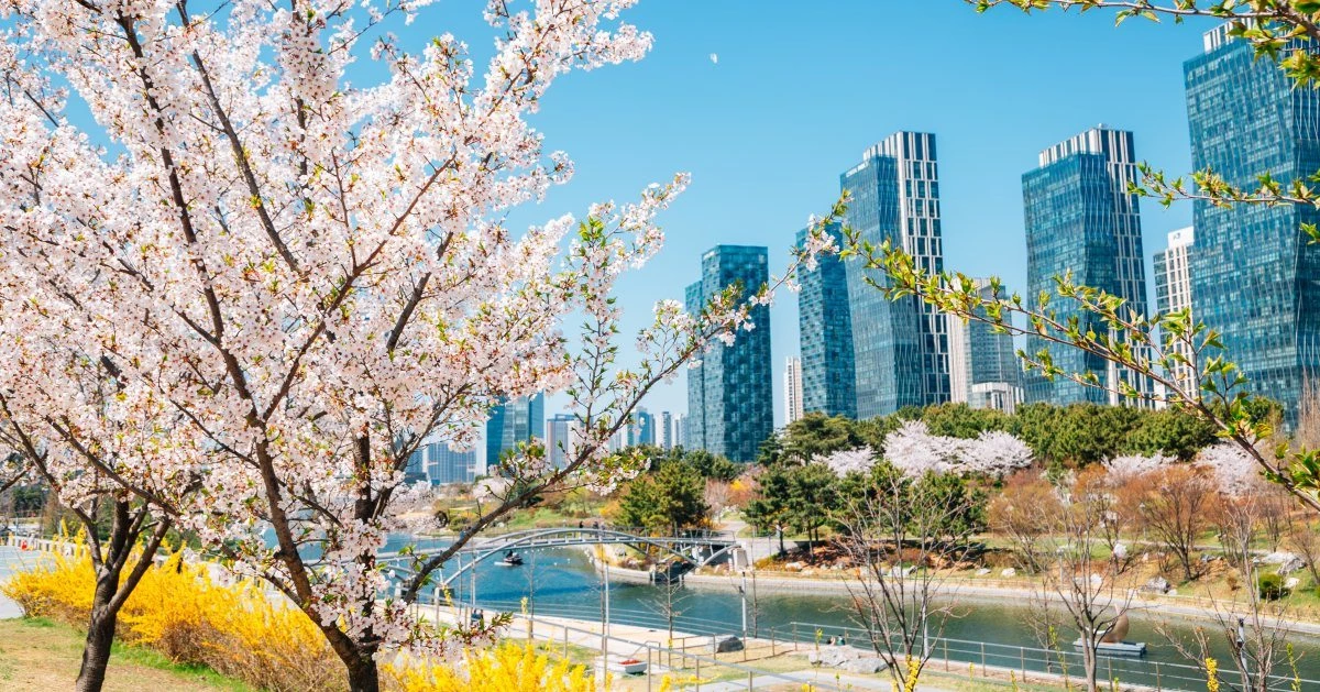 인천의 봄꽃 명소 추천