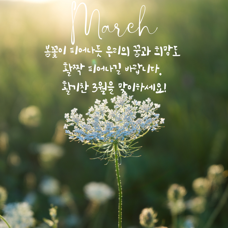 3월 인사말 문구 이미지 모음집