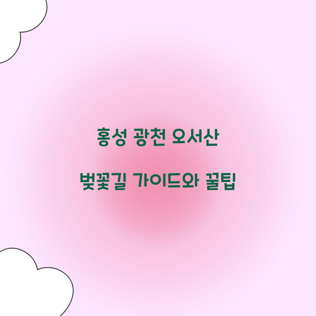홍성 광천 오서산 벚꽃길