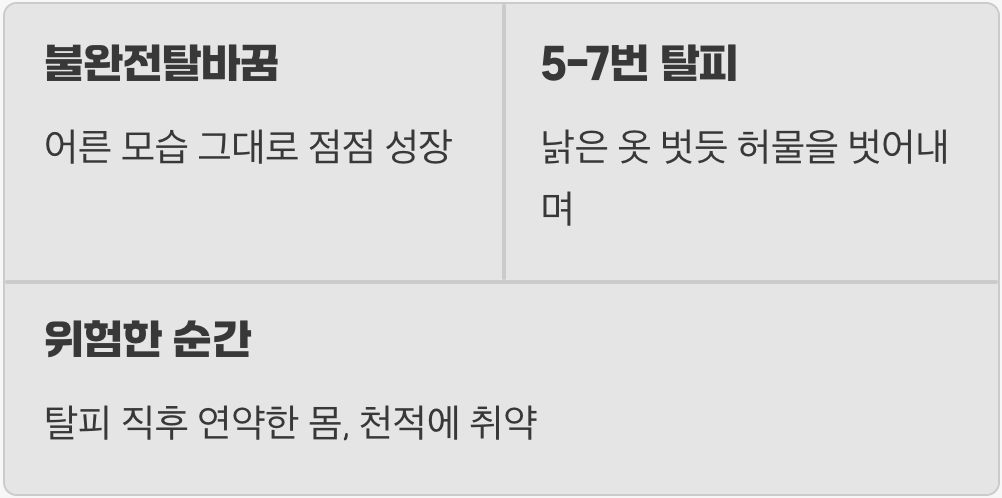 3. 작은 거인의 성장기, 불완전탈바꿈