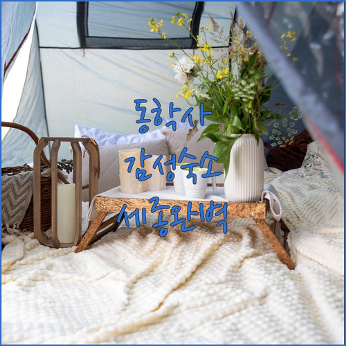 공주 동학사 근처 호텔 추천 및 세종..