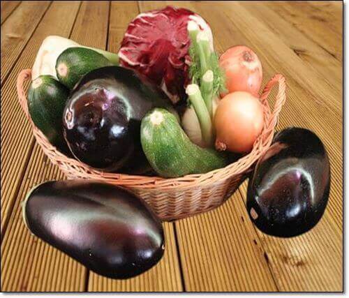 가지와 호박등