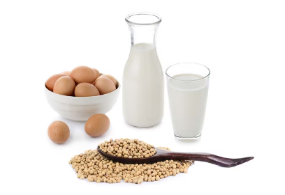 알레르기 유발 식품