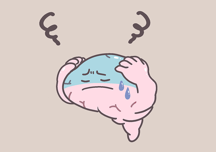 수막염이-발생한-뇌-모습