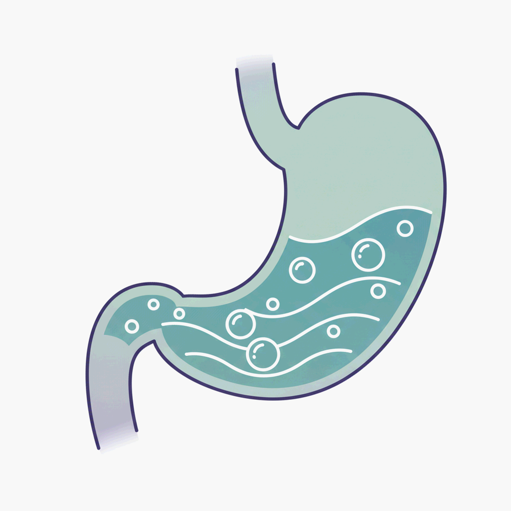 배가 고프지 않아도 꼬르륵 소리가 나는 이유를 상징적으로 표현한 인체생리학 일러스트레이션