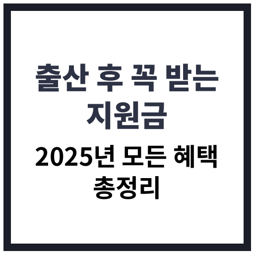 2025년 출산 후 받을 수 있는 정부 및 지자체 지원금 혜택 정리 이미지
