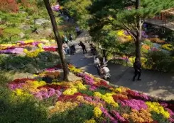 화담숲 사진 명소 시간대별 촬영 완벽 가이드