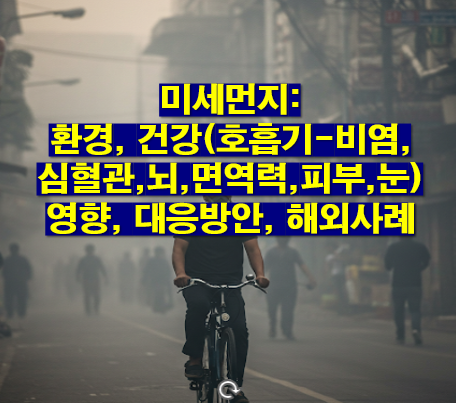 미세먼지: 환경, 건강(호흡기-비염,심혈관,뇌,면역력,피부,눈) 영향, 대응방안, 해외사례