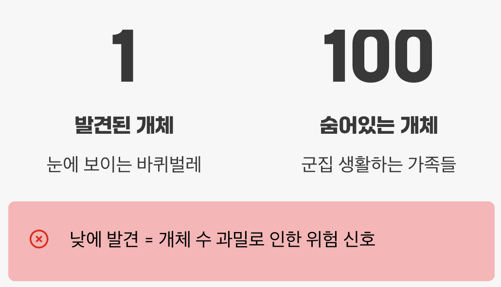 한 마리가 보였다면, 이미 늦었다?