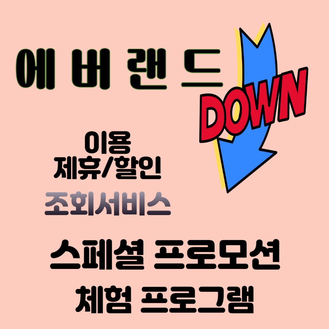 에버랜드 제휴 할인 조회 서비스