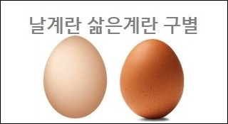 날계란 삶은계란 구별
