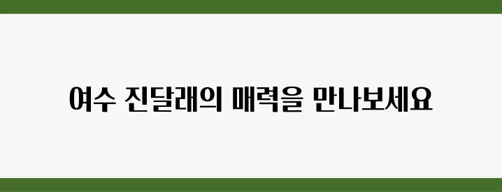 여수 여행의 하이라이트, 진달래축제에서 만나는 특별한 순간들!