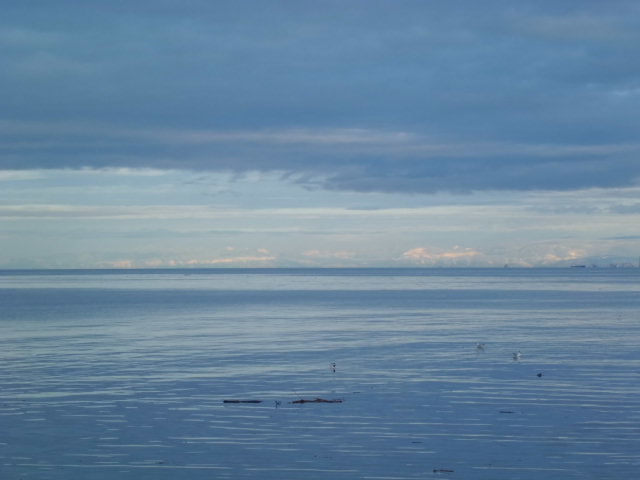 이탈리아 트리에스테 통일 광장 앞 잔잔한 아드리아 해 멀리 보이는 뭉게구름