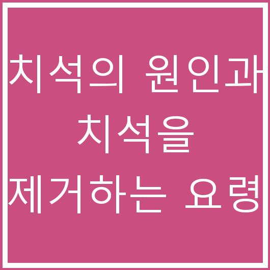 치석의 원인과 치석을 제거하는 요령
