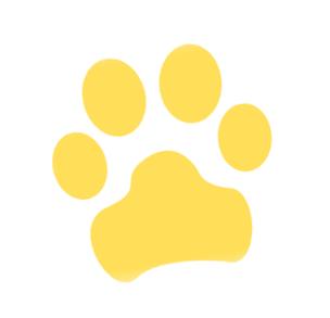 호랑이 발톱 게임: 전략과 경쟁이 만나는 보드게임