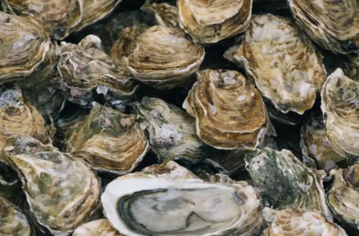 노로바이러스 전염