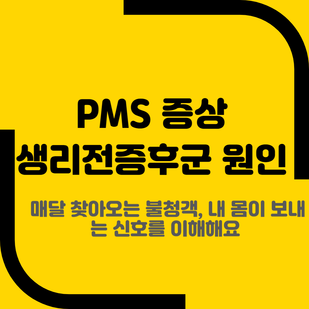 PMS증상 생리전증후군 원인
