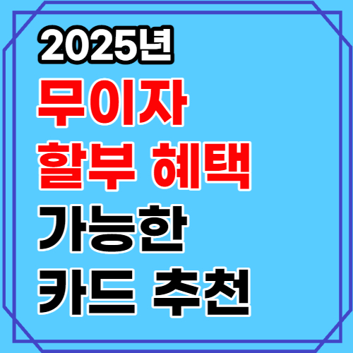 2023년 무이자 할부 혜택 있는 카드 추천 5가지