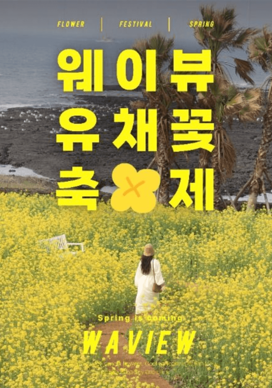 제주 유채꽃 축제 "웨이뷰 유채꽃 축제" 즐기기!