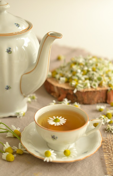 2025 성남시 지원정책