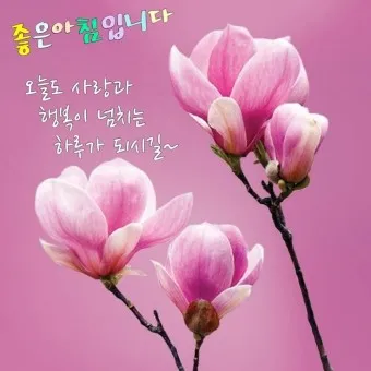 아침 인사말 일러스트 이미지 인사 문구_3