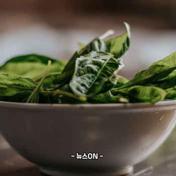 칼륨이 많은 과일과 채소