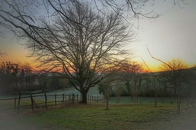 2025 독일 취업비자 신청 방법 완전 정리 – 블루카드 조건부터 연봉까지