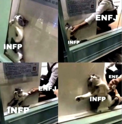 ENFJ