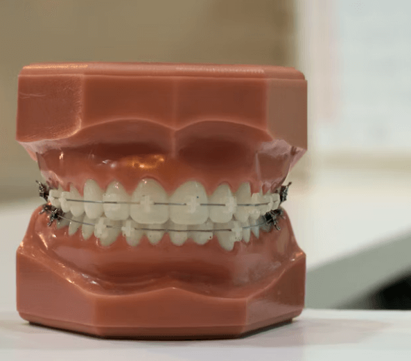 치실 사용법 - 손동작