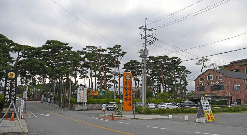 강릉 가볼만한곳 베스트10