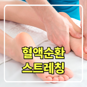 혈액순환 개선을 위한 마사지와 스트레칭 방법