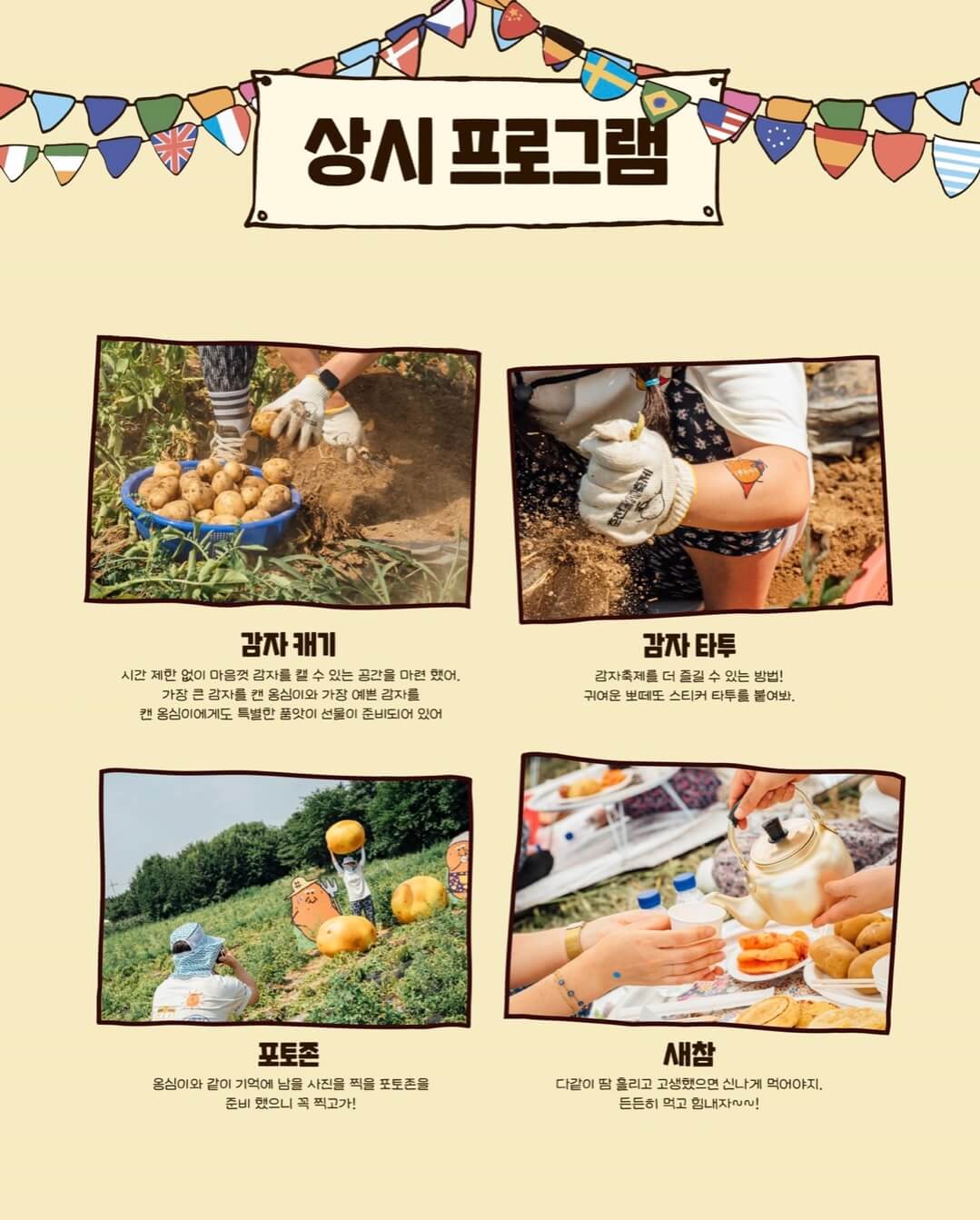 춘천 감자 축제