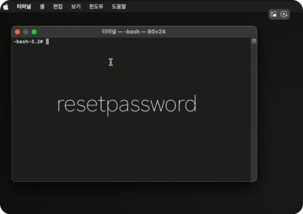 암호 재설정 명령어 입력