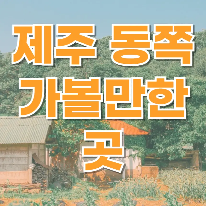 제주 동쪽, 제주 동부, 제주도 가볼만한 곳, 성산일출봉, 우도, 월정리 해변, 세화 해변, 비자림, 섭지코지, 아쿠아플라넷 제주, 제주 여행 꿀팁, 가족 여행, 커플 여행, 제주 당일치기