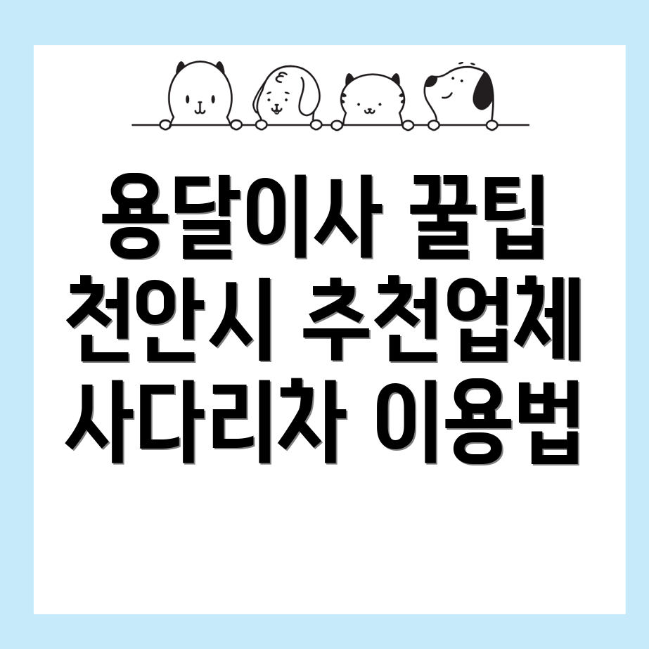 용달이사
