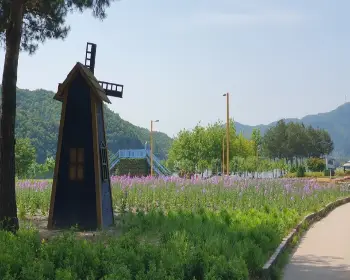 자라섬 꽃축제_19