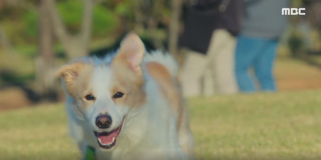 오늘도사랑스럽개_4회