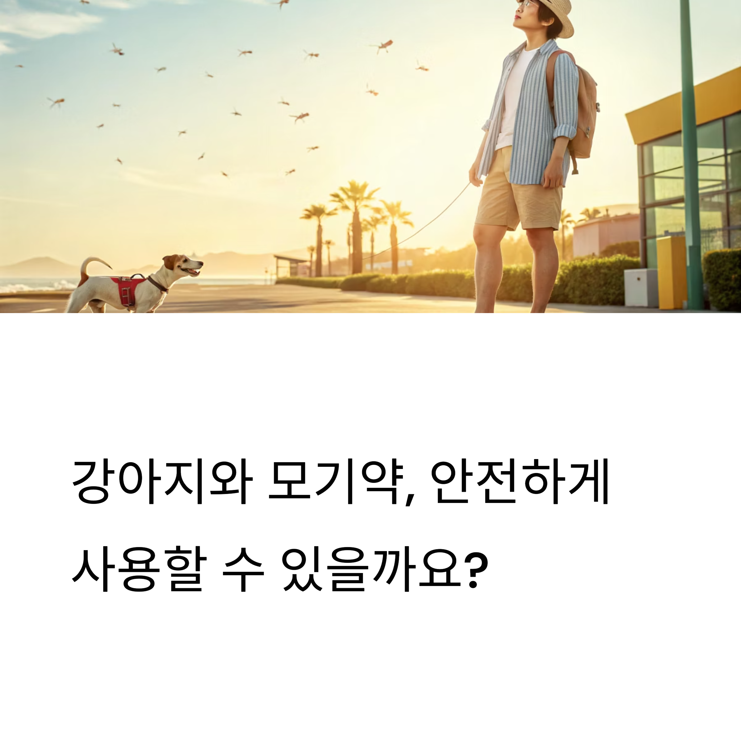 강아지와 모기약, 안전하게 사용할 수 있을까요?