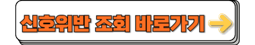 신호위반 조회