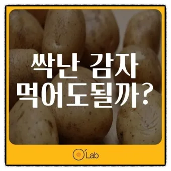 싹난 감자 먹기 주의점 레시피_6