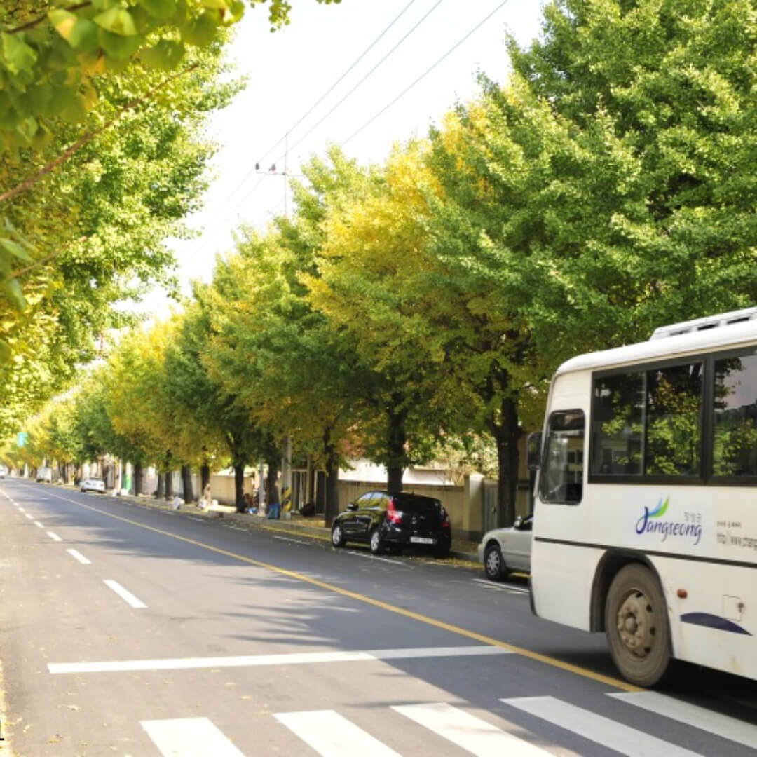 2025 인천공항1터미널 시외버스 시간표 조회, 예매 ✅