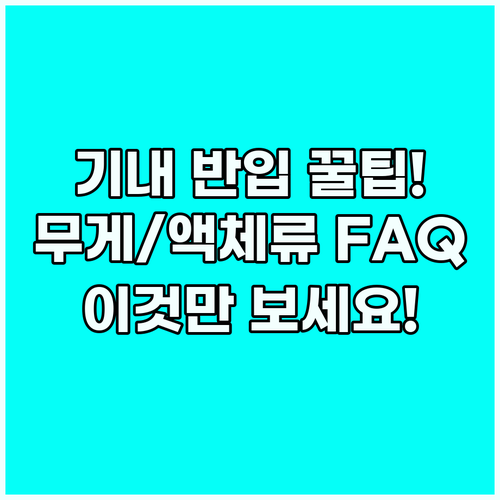 해외여행 기내 수하물: 무게 크기 액..