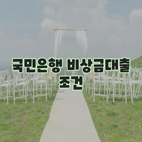 국민은행 비상금대출 조건, 상환, 거절 사유 총정리