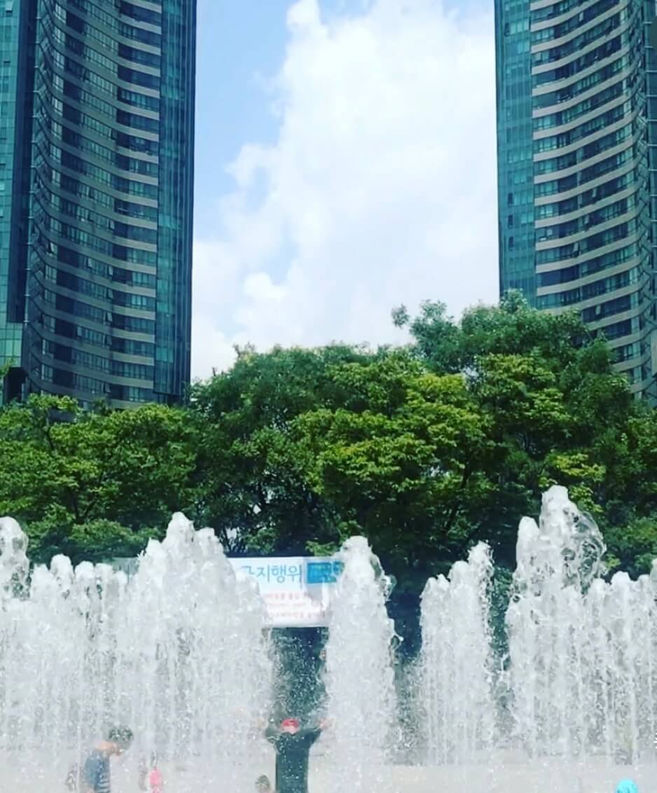 2025 서울숲 튤립 구경 가이드 관련사진