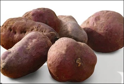 고구마 효능 (6)