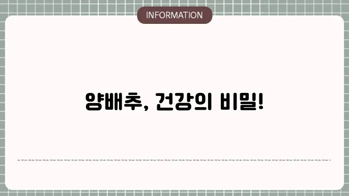 양배추의 다양한 효능