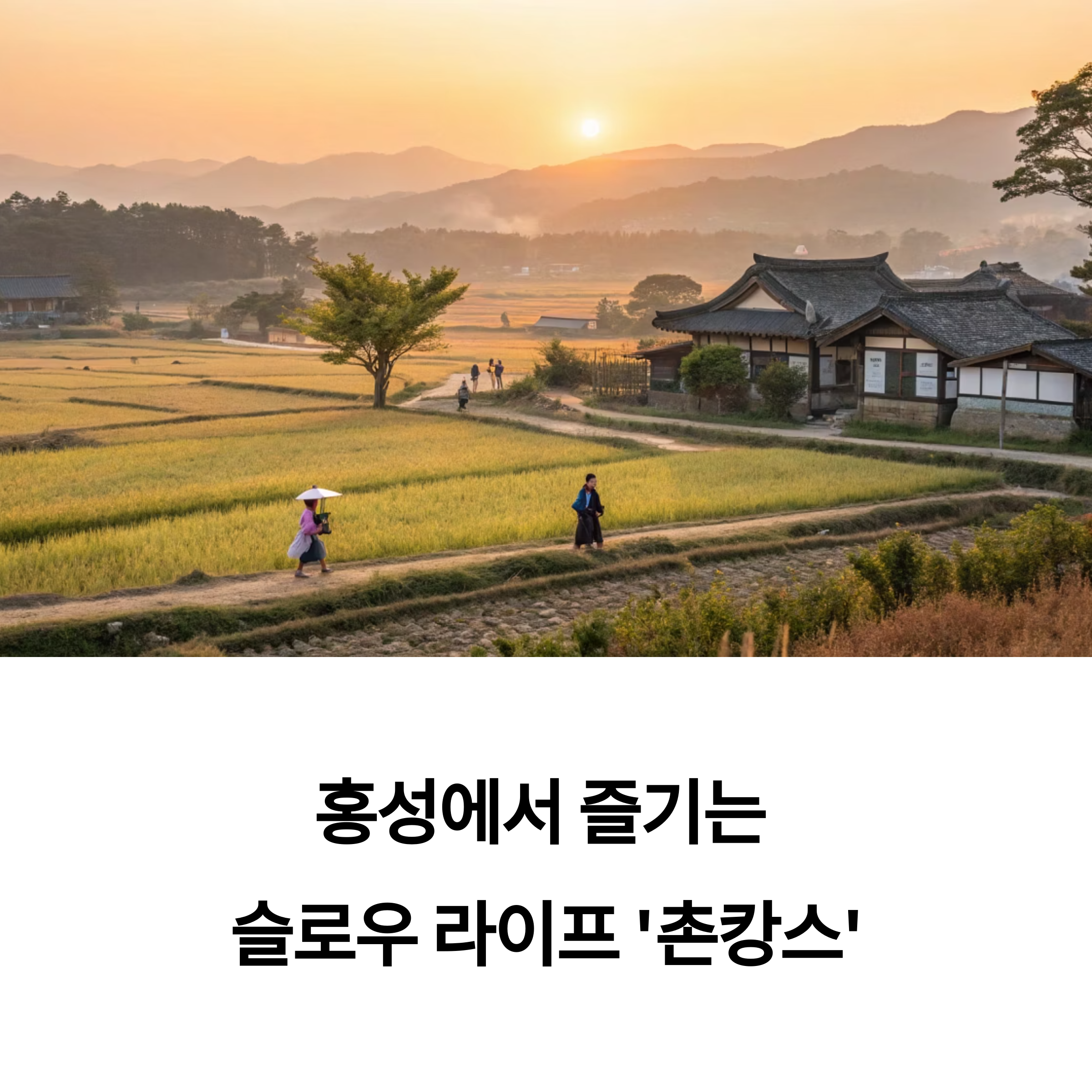 거북이처럼 느리게 살고 싶을 땐, 홍성으로