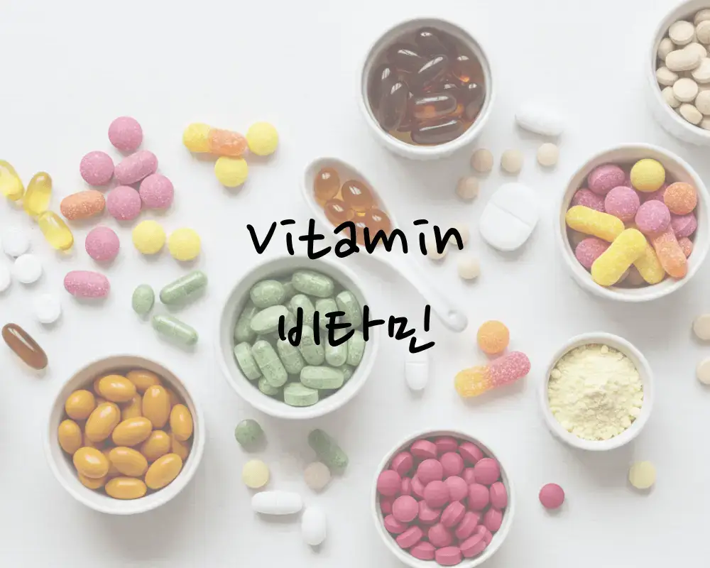 지용성 수용성 비타민 종류