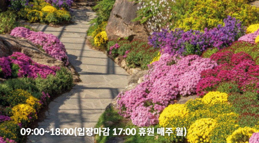 2024년 화담숲 단풍 절정 시기3